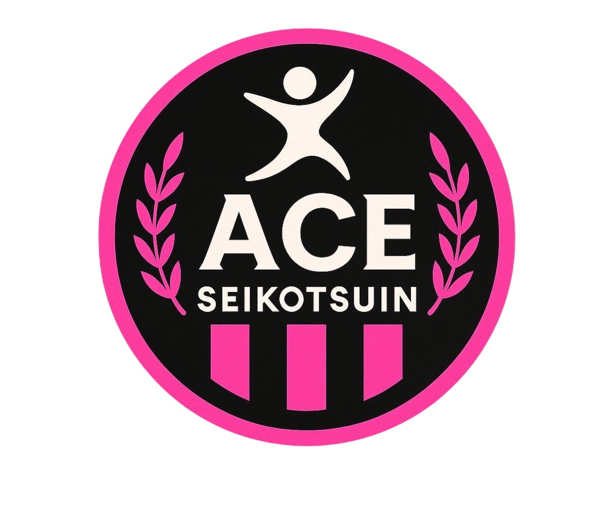 ACE SEIKOTSUIN